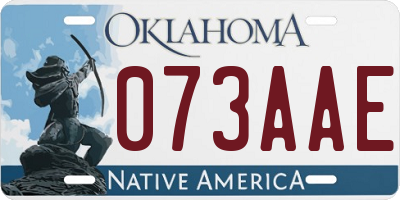 OK license plate 073AAE