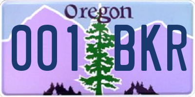 OR license plate 001BKR