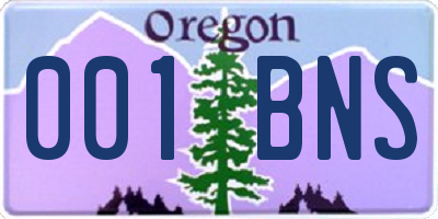 OR license plate 001BNS