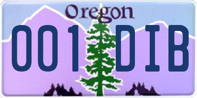 OR license plate 001DIB
