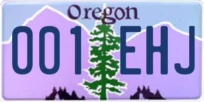 OR license plate 001EHJ