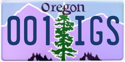 OR license plate 001IGS