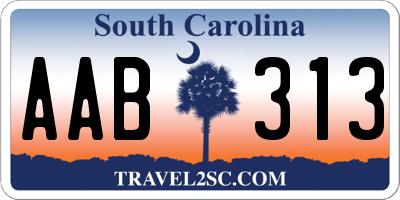SC license plate AAB313