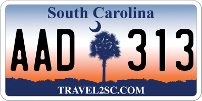 SC license plate AAD313