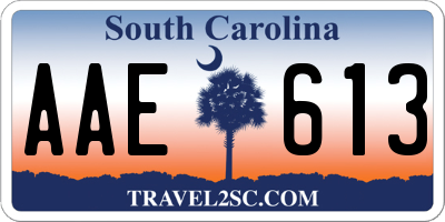 SC license plate AAE613