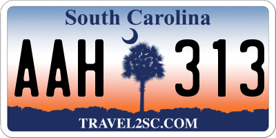 SC license plate AAH313
