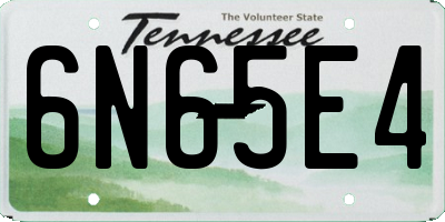 TN license plate 6N65E4