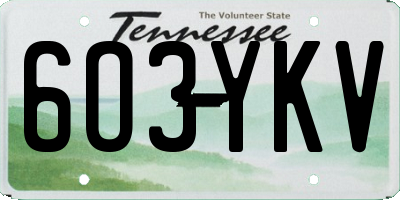 TN license plate 6O3YKV