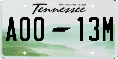 TN license plate A0013M