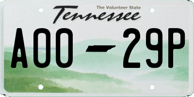 TN license plate A0029P