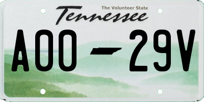 TN license plate A0029V