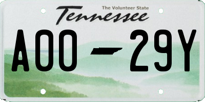 TN license plate A0029Y