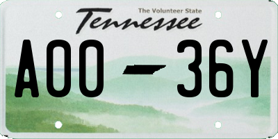 TN license plate A0036Y