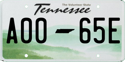 TN license plate A0065E
