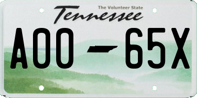 TN license plate A0065X