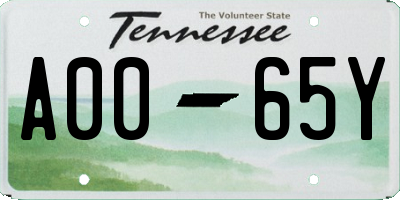 TN license plate A0065Y