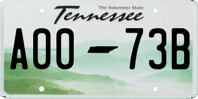 TN license plate A0073B
