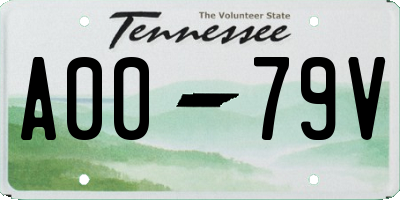 TN license plate A0079V