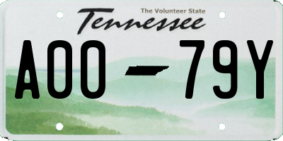 TN license plate A0079Y