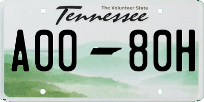 TN license plate A0080H