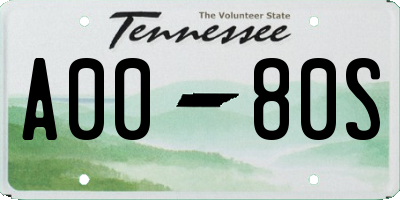 TN license plate A0080S