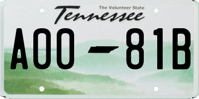 TN license plate A0081B
