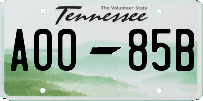 TN license plate A0085B