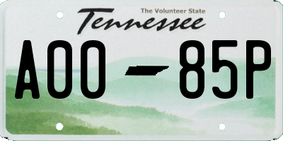 TN license plate A0085P