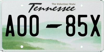 TN license plate A0085X