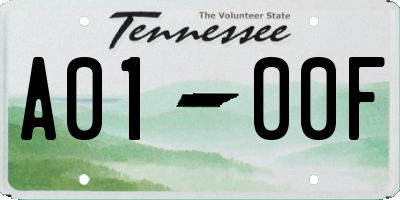 TN license plate A0100F