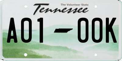 TN license plate A0100K