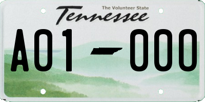 TN license plate A0100O