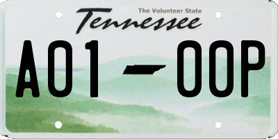 TN license plate A0100P