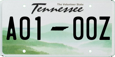 TN license plate A0100Z