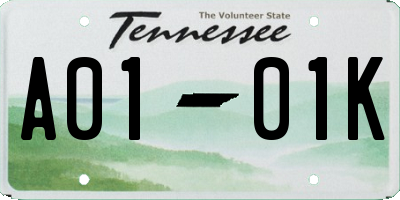 TN license plate A0101K