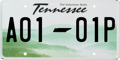 TN license plate A0101P