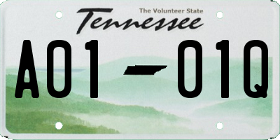 TN license plate A0101Q