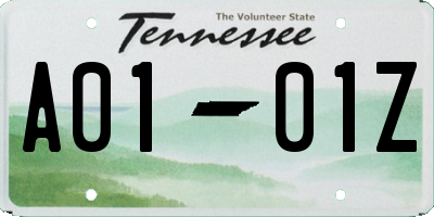 TN license plate A0101Z
