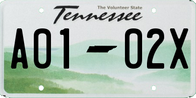 TN license plate A0102X