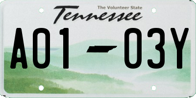 TN license plate A0103Y