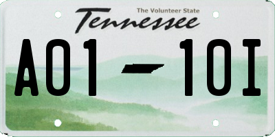 TN license plate A0110I