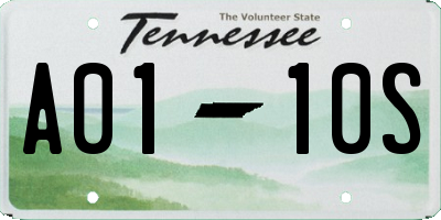 TN license plate A0110S