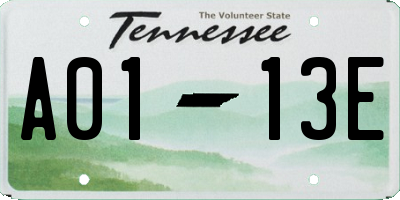 TN license plate A0113E