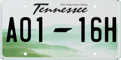 TN license plate A0116H