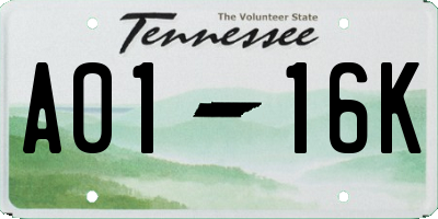 TN license plate A0116K
