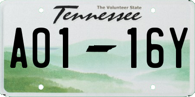 TN license plate A0116Y