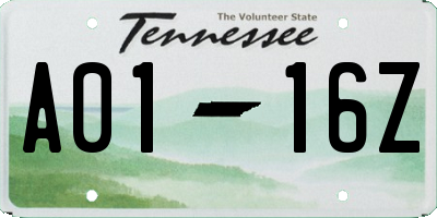 TN license plate A0116Z