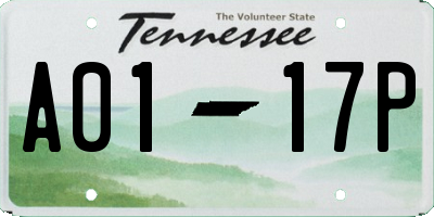 TN license plate A0117P