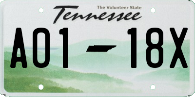 TN license plate A0118X