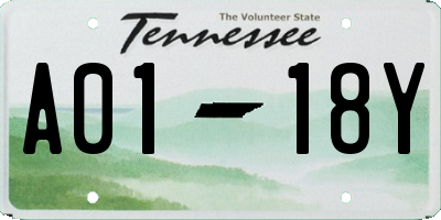 TN license plate A0118Y